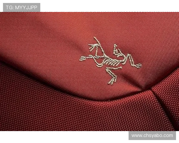 亚搏app官方地址官方平台功能介绍与用户体验优化建议