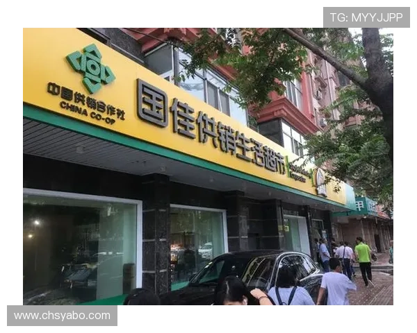 探讨亚博集团在游戏内容创新与玩家社区建设中的成功经验